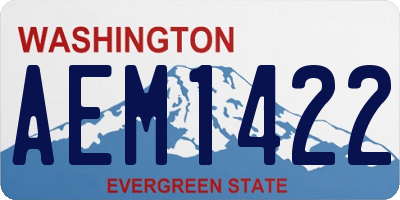 WA license plate AEM1422
