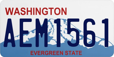 WA license plate AEM1561