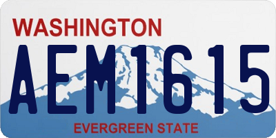 WA license plate AEM1615