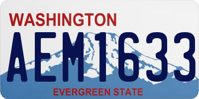 WA license plate AEM1633