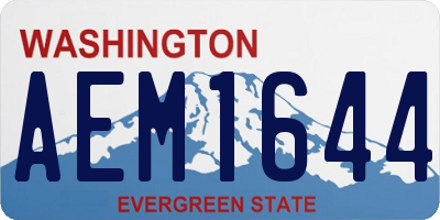 WA license plate AEM1644