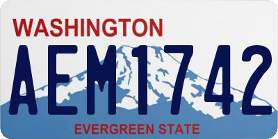 WA license plate AEM1742