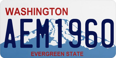 WA license plate AEM1960