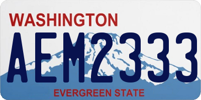 WA license plate AEM2333