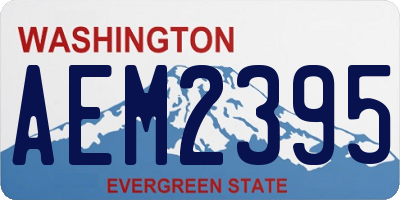 WA license plate AEM2395