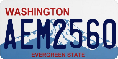 WA license plate AEM2560