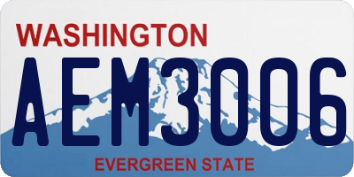 WA license plate AEM3006