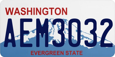 WA license plate AEM3032