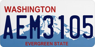 WA license plate AEM3105