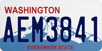 WA license plate AEM3841