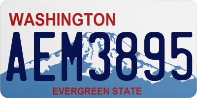 WA license plate AEM3895