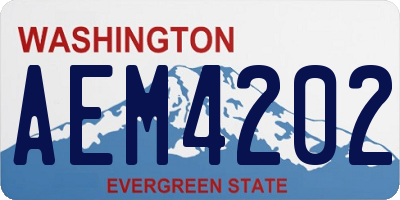 WA license plate AEM4202