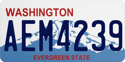 WA license plate AEM4239