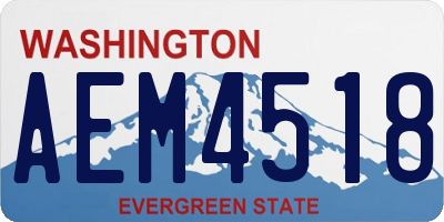 WA license plate AEM4518