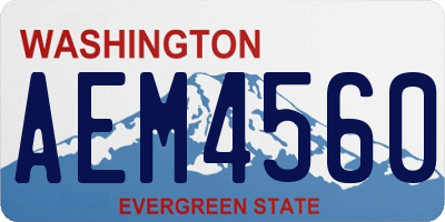 WA license plate AEM4560