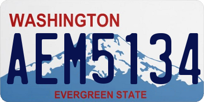 WA license plate AEM5134