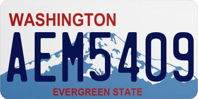 WA license plate AEM5409