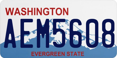 WA license plate AEM5608