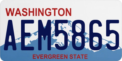 WA license plate AEM5865