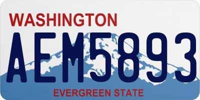 WA license plate AEM5893