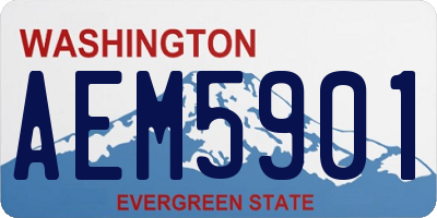 WA license plate AEM5901