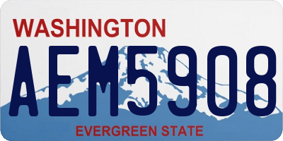 WA license plate AEM5908