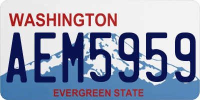 WA license plate AEM5959