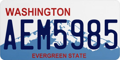 WA license plate AEM5985