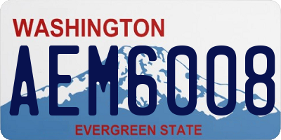 WA license plate AEM6008
