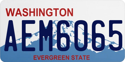 WA license plate AEM6065