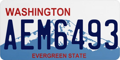 WA license plate AEM6493
