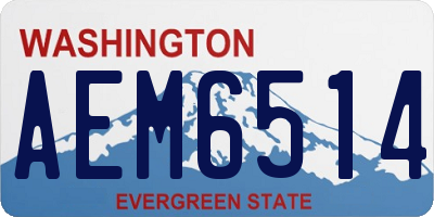 WA license plate AEM6514