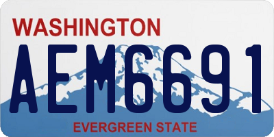 WA license plate AEM6691