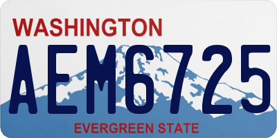 WA license plate AEM6725
