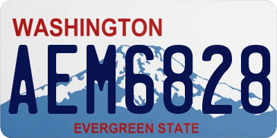 WA license plate AEM6828