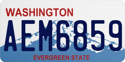 WA license plate AEM6859