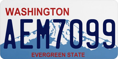 WA license plate AEM7099
