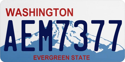 WA license plate AEM7377