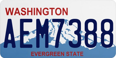 WA license plate AEM7388