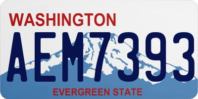 WA license plate AEM7393