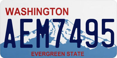 WA license plate AEM7495