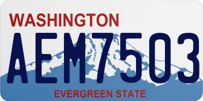 WA license plate AEM7503
