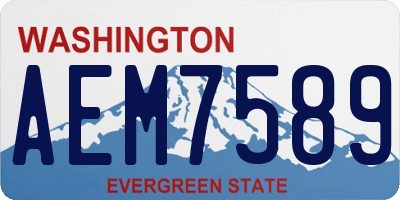 WA license plate AEM7589