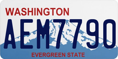 WA license plate AEM7790