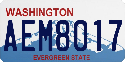 WA license plate AEM8017