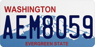 WA license plate AEM8059