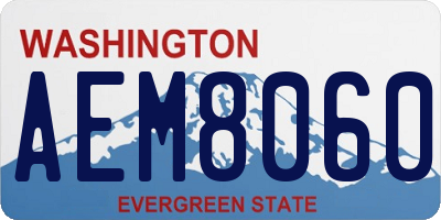 WA license plate AEM8060