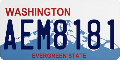 WA license plate AEM8181