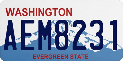 WA license plate AEM8231