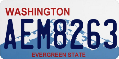 WA license plate AEM8263